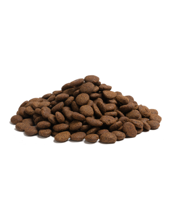 Essential Foods The Beginning Large breed 10kg - Slika 4